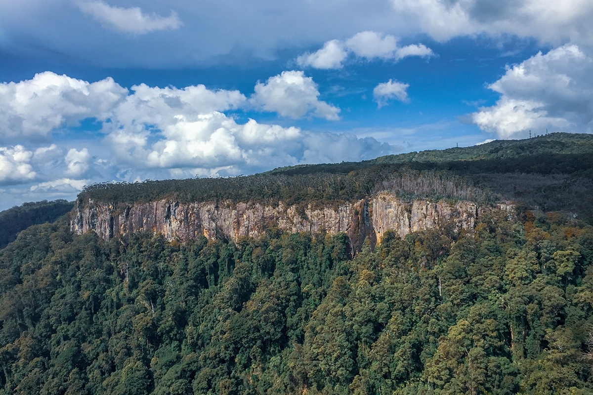 Springbrook