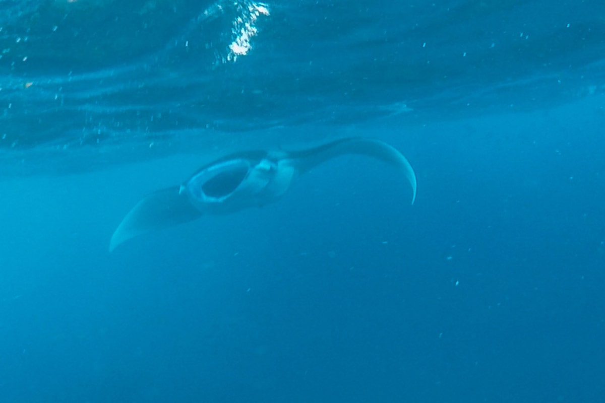 nusa penida