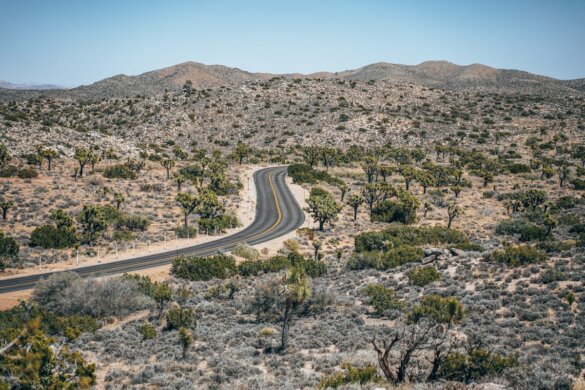 Visiter le parc national Joshua Tree (nos incontournables)